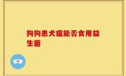 狗狗患犬瘟能否食用益生菌