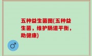 五种益生菌图(五种益生菌，维护肠道平衡，助健康)
