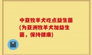 中亚牧羊犬吃点益生菌(为亚洲牧羊犬加益生菌，保持健康)