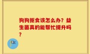 狗狗拒食该怎么办？益生菌真的能帮忙提升吗？