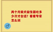 两个月柴犬益生菌吃多少次才合适？看看专家怎么说
