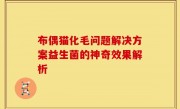 布偶猫化毛问题解决方案益生菌的神奇效果解析