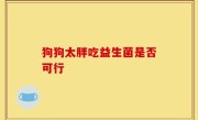 狗狗太胖吃益生菌是否可行