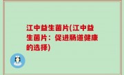 江中益生菌片(江中益生菌片：促进肠道健康的选择)