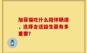 加菲猫吃什么陪伴肠道，选择合适益生菌有多重要？