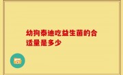 幼狗泰迪吃益生菌的合适量是多少