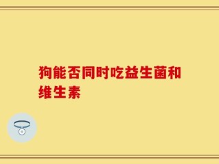 狗能否同时吃益生菌和维生素