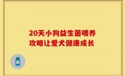 20天小狗益生菌喂养攻略让爱犬健康成长