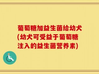 葡萄糖加益生菌给幼犬(幼犬可受益于葡萄糖注入的益生菌营养素)