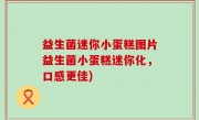 益生菌迷你小蛋糕图片益生菌小蛋糕迷你化，口感更佳)