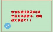 米酒和益生菌发酵(益生菌与米酒联手，爆出强大发酵力！)