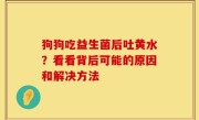 狗狗吃益生菌后吐黄水？看看背后可能的原因和解决方法