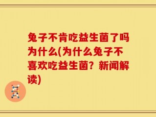 兔子不肯吃益生菌了吗为什么(为什么兔子不喜欢吃益生菌？新闻解读)