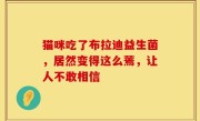 猫咪吃了布拉迪益生菌，居然变得这么蔫，让人不敢相信