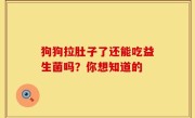 狗狗拉肚子了还能吃益生菌吗？你想知道的