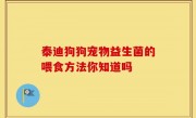 泰迪狗狗宠物益生菌的喂食方法你知道吗