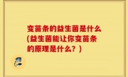 变苗条的益生菌是什么(益生菌能让你变苗条的原理是什么？)