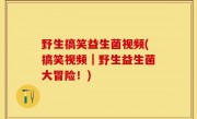 野生搞笑益生菌视频(搞笑视频｜野生益生菌大冒险！)
