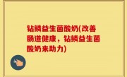 钻鳞益生菌酸奶(改善肠道健康，钻鳞益生菌酸奶来助力)