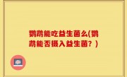 鹦鹉能吃益生菌么(鹦鹉能否摄入益生菌？)