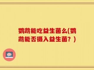 鹦鹉能吃益生菌么(鹦鹉能否摄入益生菌？)