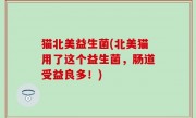 猫北美益生菌(北美猫用了这个益生菌，肠道受益良多！)