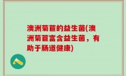 澳洲菊苣的益生菌(澳洲菊苣富含益生菌，有助于肠道健康)