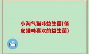 小淘气猫咪益生菌(俏皮猫咪喜欢的益生菌)