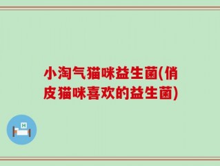 小淘气猫咪益生菌(俏皮猫咪喜欢的益生菌)