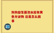 狗狗益生菌泡水后有黄色分泌物 这是怎么回事
