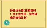 种花益生菌(花园福利！种上益生菌，保持健康的植物生长)