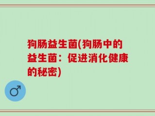 狗肠益生菌(狗肠中的益生菌：促进消化健康的秘密)