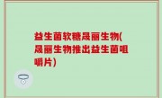 益生菌软糖晟丽生物(晟丽生物推出益生菌咀嚼片)