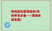 狗狗益生菌宠伽米(狗狗养生必备——宠伽米益生菌)