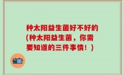种太阳益生菌好不好的(种太阳益生菌，你需要知道的三件事情！)