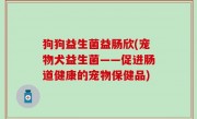 狗狗益生菌益肠欣(宠物犬益生菌——促进肠道健康的宠物保健品)