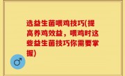 选益生菌喂鸡技巧(提高养鸡效益，喂鸡时这些益生菌技巧你需要掌握)