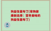 狗益生菌布丁(宠物健康新选择：营养美味的狗益生菌布丁)