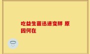 吃益生菌迅速变胖 原因何在