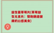 益生菌草莓片(草莓益生元素片：帮助肠道健康的口感美食)