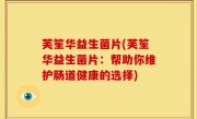 芙笙华益生菌片(芙笙华益生菌片：帮助你维护肠道健康的选择)