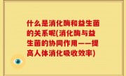 什么是消化酶和益生菌的关系呢(消化酶与益生菌的协同作用——提高人体消化吸收效率)
