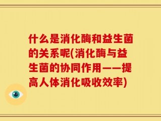 什么是消化酶和益生菌的关系呢(消化酶与益生菌的协同作用——提高人体消化吸收效率)