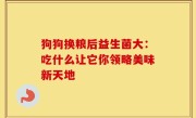 狗狗换粮后益生菌大：吃什么让它你领略美味新天地