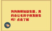 狗狗换粮加益生菌，真的会让毛孩子焕发新生吗？点击了解