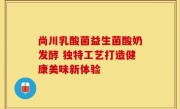 尚川乳酸菌益生菌酸奶发酵 独特工艺打造健康美味新体验