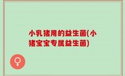 小乳猪用的益生菌(小猪宝宝专属益生菌)
