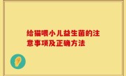 给猫喂小儿益生菌的注意事项及正确方法