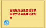 自制迷你益生菌奶昔的简单方法与美味秘诀分享