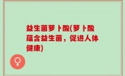益生菌萝卜酸(萝卜酸蕴含益生菌，促进人体健康)